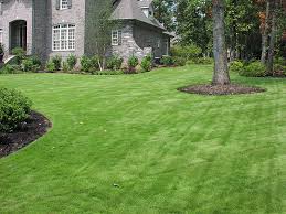 Super sniffers bed bug and termite treatments. Sod And Turf Wilson Bros Landscape