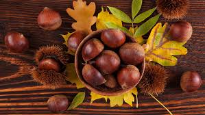 La châtaigne est le fruit du châtaignier, un arbre originaire d'europe méridionale et nutrition et bienfaits sur la santé. Les Bienfaits De La Chataigne 1