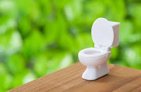 La lunette de toilettes clipsable et personnalisable qui va révolutionner votre façon de nettoyer vos wc. Intention Investissement Belle Femme Lunette De Toilette Clipsable Et Sans Visserie Location Corse Calvi Com