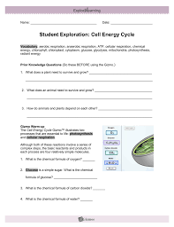 Begin with a single cell and watch as mitosis and cell division occurs. Cell Energy Cycle Gizmo Answer Key Activity C