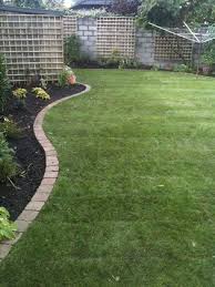 Savannah Blades Of Grass Lawn Care Home Lawn And Landscape Lawn Borders Backyard Landscaping