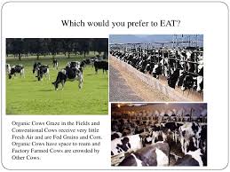 Organic Vs Non Organic Power Point