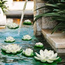 We did not find results for: Buy 8pcs Artificial Lotus Floating Foam Lotus Flowers With Water Lily Pad Realistic Water Lily Foam Lotus Flower For Garden Koi Fish Pond Aquarium Pool Wedding Decor Online In Uk B093p9wg9s