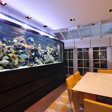 The fish tank room is a setting in fatal frame. Fish Tank Room Divider Houzz