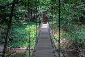 Cook forest state park is a cornucopia of things to do for outdoor enthusiasts of any age. How To Get To The Swinging Bridge In Cook Forest State Park Uncovering Pa