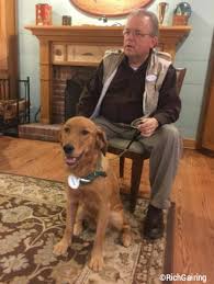 All about pets hilton head. Meet Shadow Resident Golden Retriever At Disney S Hilton Head Island Resort Allears Net