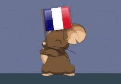 With tenor, maker of gif keyboard, add popular france flag waving animated gifs to your conversations. Flag Waving Transformice Wiki Fandom