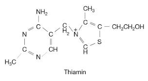 Also known as thiamin, it is required for many crucial bodily functions. Thiamin Chemical Compound Britannica