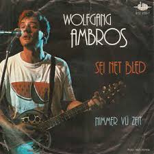 Further hits such as schifoan, zwickt's mi and his viennese german versions of bob dylan songs on the album wie im schlaf also made him very famous in germany. Wolfgang Ambros Sei Net Bled 1983 Vinyl Discogs