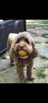 Just my husband and fur baby living their best lives.