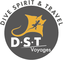 D'une manière générale, l'agence de voyage est un trait d'union entre les compagnies aériennes, les prestataires les différents services offerts par une agence de voyages. Dst Voyages L Agence De Voyages La Moins Chere En Alsace