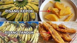 Buah pisang kapok memiliki kandungan yang baik untuk tubuh. 8 Jenis Pisang Dan Olahannya Yang Cocok Jangan Asal Nggak Semuanya Enak Dibikin Kolak Lo