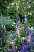 Old English Cottage Garden