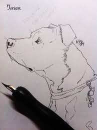 Junior has stepped into his role as an ambassador and representative for powerful breeds everywhere. Daddy Junior Cesar Millan S Pitbull Terrier By Khryphos On Deviantart
