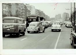 Pin De Escualo En La Vida De Color Volkswagen Con Imagenes Volkswagen