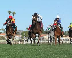 Get your team aligned with. Latest News Turf Paradise