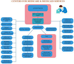 21 Particular Creative Organizational Chart Ideas