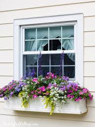 If you have a green thumb and nowhere to till soil (a.k.a. 5 Tips For Gorgeous Window Boxes The Lilypad Cottage