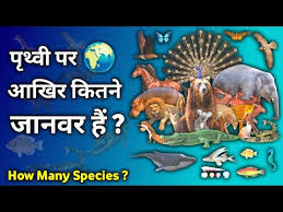 À¤à¤ À¤° À¤ À¤¤à¤¨ À¤ À¤¨à¤µà¤° How Many Species Of Animals Are There In The World In Hindi Animals In India Youtube