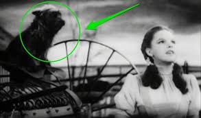 Check spelling or type a new query. 7 Things To Know About Dogs In Movies The Dog People By Rover Com