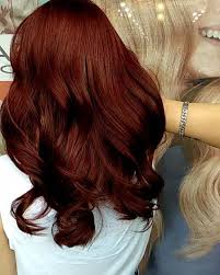 Have You Ever Wondered What The Difference Between Mahogany And Auburn Hair Color Were Read All About Th Shades Of Red Hair Hair Color Auburn Cool Hair Color