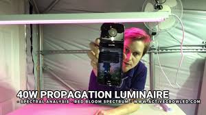 I have already ordered several more since my first purchase. Active Grow 40w Led Grow Light Vs T8 Fluo 2 Tube Fixture For Microgreens Clones Tissue Culture Youtube