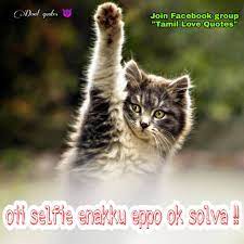 Facebook Tamil love tollywood rajarani actorarya tamil tamilcinema love cutecouple quotes fb lo. facebook