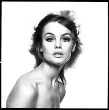 Anita Purja Photography