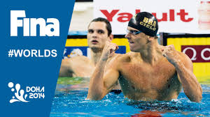 Freestyle swimming implies the use of legs and arms for competitive swimming, except in the case of the individual medley or medley relay events. Cesar Cielo Interview 100m Freestyle 2014 Fina World Swimming Championships Doha Youtube