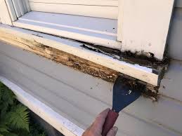 Check spelling or type a new query. How To Fix A Rotted Windowsill And What Lies Beneath Home Fixated