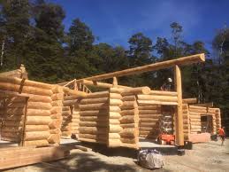 Over 25 years experience working on large apartment developments, period houses and right down to your home. Family Log Homes Natural Log Homes