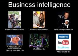 What Do You Think About Business Intelligence Business Intelligence Funny Memes Funny Pictures
