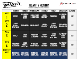 insanity workout exercises pdf