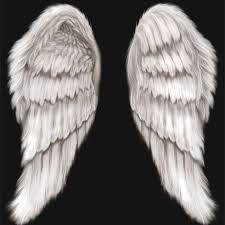 Black And White Angel Wings Wallpaper Laura Wyatt Douglass Author Of Wings Wallpaper Black Angel Wings Angel Wings Pictures