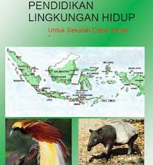 Rangkuman materi bahasa inggris ini bertujuan memudahkan. Buku Pendidikan Lingkungan Hidup Plh Kelas Iv Sd Mi Semester 1 Dan 2 Dunia Edukasi