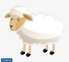We did not find results for: ØµÙˆØ± Ø®Ø±ÙˆÙ Ø§Ù„Ø¹ÙŠØ¯ 2021 Ø§Ø¬Ù…Ù„ Ø¨ÙˆØ³ØªØ§Øª Ø®Ø±ÙˆÙ Ø¹ÙŠØ¯ Ø§Ù„Ø§Ø¶Ø­Ù‰ 1442 Ù…ÙˆÙ‚Ø¹ Ù…Ø­ØªÙˆÙŠØ§Øª