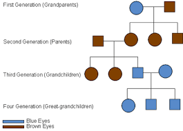 Understanding Genetics