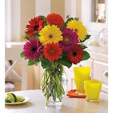 Intense burning and irritation of. Photos Of Poisonous Plants And Flowers For Cats