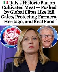 Italy's Historic Ban on Cultivated Meat Affects Global Food Market