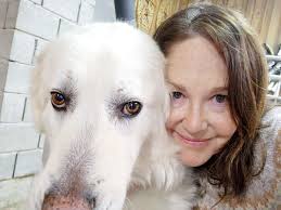 Upholstery & Sofa Cleaning Hangleton