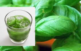 Liquore Al Basilico Ricetta Facile Per Produrlo In Casa In Pochi Minuti