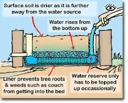 From The Bottom Up A Diy Guide To Wicking Beds Permaculture Research Institute Permaculture Forums Co Self Watering Plants Wicking Beds Raised Garden Beds