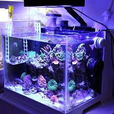 Aquarium Lights 15 Best Hoods Lighting Systems For Proper Tank Care