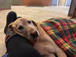 Think good thoughts for this old man. He's not feeling good and I can't sleep without knowing what's up so we are here to see what's going on. It's been such a