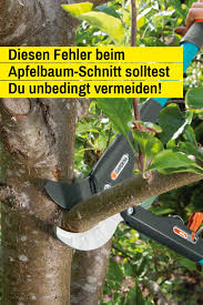 Apfelbaum Schneiden Selbst De Apfelbaume Schneiden Apfelbaum Tomaten Zuchten