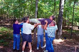 Ropes course fondly remembered at facilitators reunion > Arnold Air Force  Base > Article Display