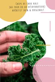Chips De Chou Kale Au Four Ou Au Deshydrateur Aperitif Sain Original Recept In 2020