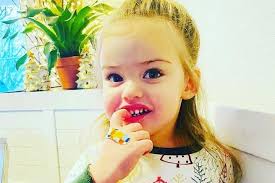 Fundraiser for Katrina Weeks by Amy Hodge : Bertie Jean surgery and travel