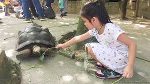 Berwisata ke nursery ini pengunjung akan dikenakan biaya tiket yang relatif terjangkau. Duanurjenjalan Farm In The City Seri Kembangan Atiehilmi Com Malaysian Lifestyle Blogger