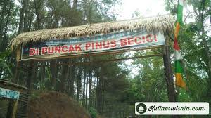 Simak ulasan mengenai sejarah, rute lokasi, waktu operasional, tiket masuk, dll. Wisata Daerah Imogiri Bantul